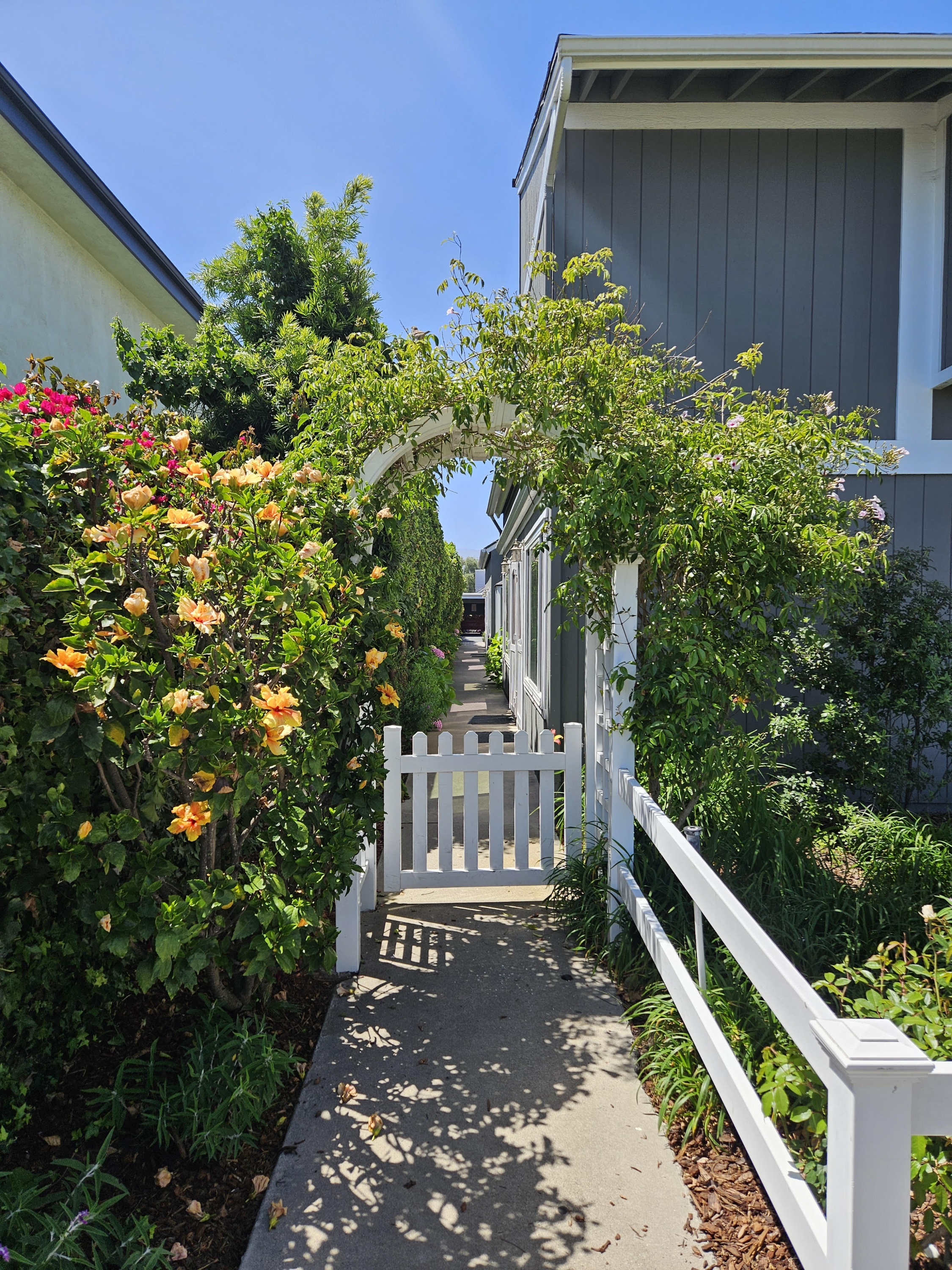 231 Linden Avenue #17